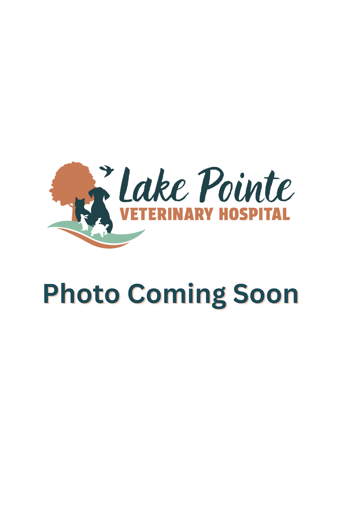 Lake Pointe Veterinary Hospital logo